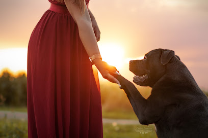 Fellliebe Fotografie- Tierfotografie Larissa Lohmann