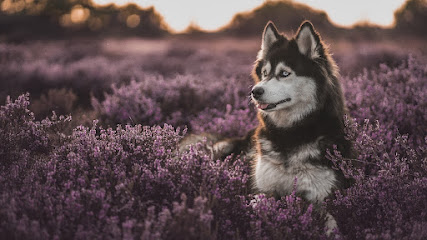 Sabine Klich - Fotografie