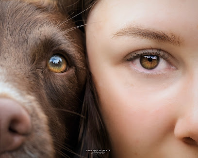 Pawerful Moments - Tierfotografie Saarland