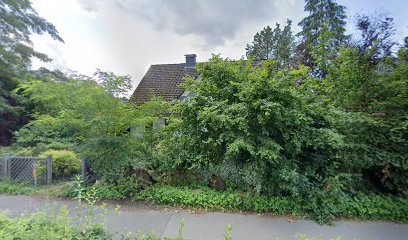 CS : VIEW
