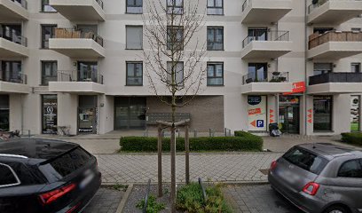 Neugeborenen-Fotografie Frankfurt am Main