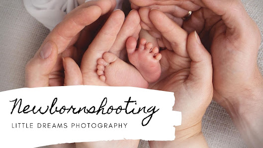 Little Dreams Photography – Bild 4