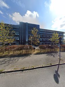 DOGLENSE – Bild 2