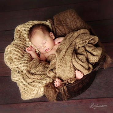 Lachmann Photodesign
