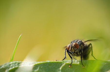 AugenBlick Fotografie – Bild 5