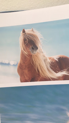 Christiane Slawik Photography – Bild 4