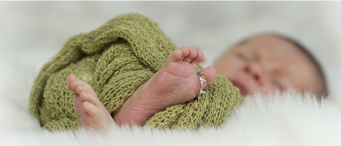 Little Dreams Photography – Bild 3