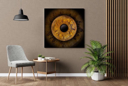 Eyepixx Iris-Fotografie Hanau – Bild 2