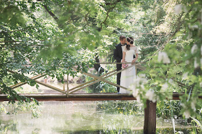 Bilder-der-Hochzeit
