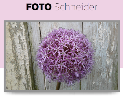 FOTO Schneider