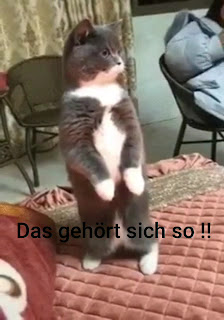 CEWE Fotostation – Bild 4