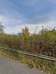 FOTO Paradies – Bild 3