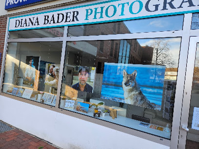 DIANA BADER PHOTOGRAPHY - Fotostudio Heikendorf - Fotograf