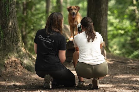 Denise Strauch Photography – Bild 4