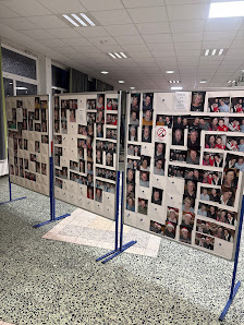 Michael Pallgen Fotograf – Bild 2