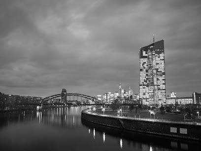 Reflection Of Life Fotografie
