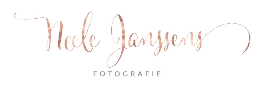 Neele Janssens Fotografie – Bild 4