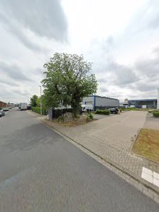 profobo – Bild 4