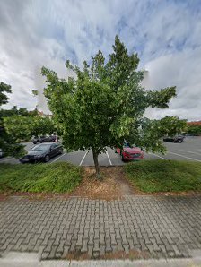 CEWE Fotostation – Bild 3