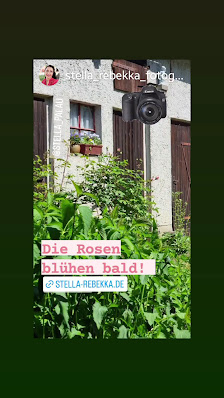 Stella Rebekka Fotografie – Bild 4