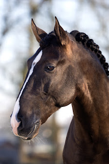 Stoibphotography – Bild 3