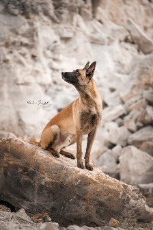 Karolin Marschall Fotografie – Bild 4