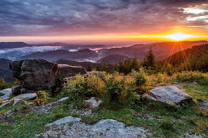Steffen Birk Photography