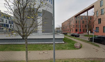 Artbund