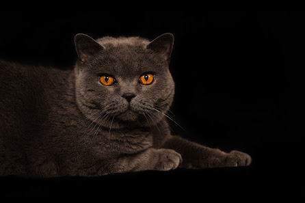 Dirk Heinze Fotografie – Bild 5