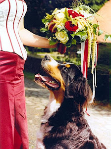 Photosommer - Photograph der Residenz – Bild 2