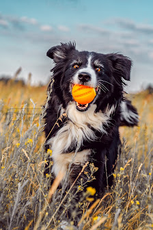 Yvonne Mey Photography – Bild 6