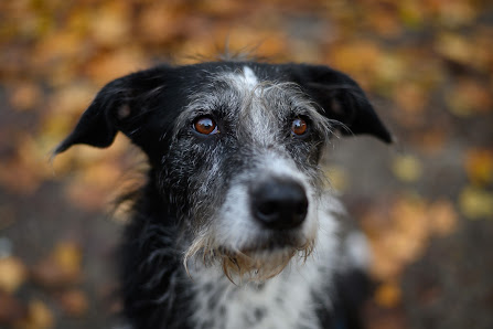 Aiko Sukdolak Natur- und Wildtierfotografie – Bild 3