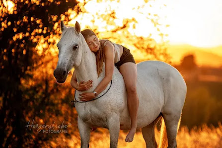 Herzensliebe Fotografie – Bild 5