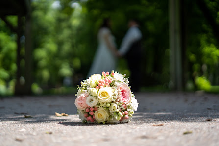 Michls-Photodesign – Bild 6