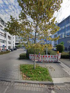 Alex-Photo | Ihr Fotostudio im Raum Frankfurt – Bild 6