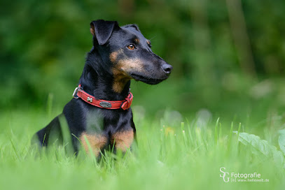 Tierfotografie und Jagdfotografie - Sebastian Grell