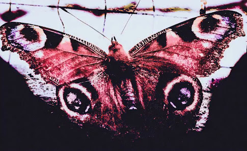 S.GRAF Photography & Photo Design – Bild 6