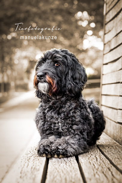 Tierfotografie Manuela Kunze