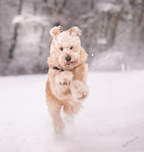 Claudia Kraheberger Photography – Bild 5