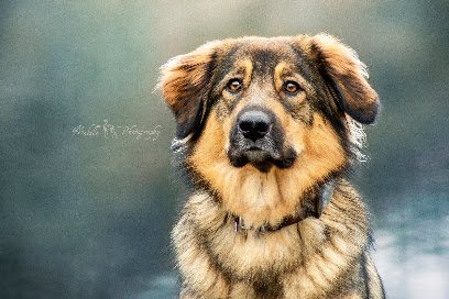 Mabelle Photography