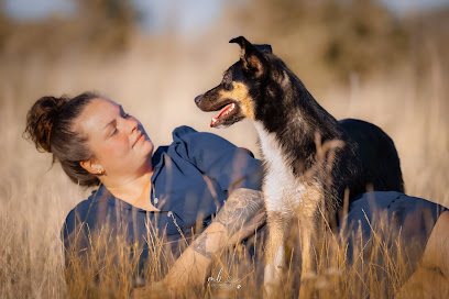 Pfoten im Fokus Photography - Hundefotografie Schleswig-Holstein