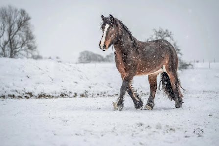 Christiane Schimmel Fotografie – Bild 3