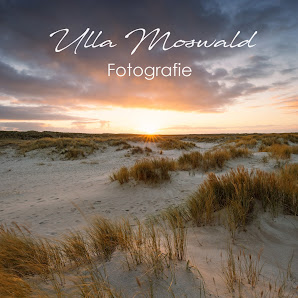Ulla Moswald Fotografie – Bild 4