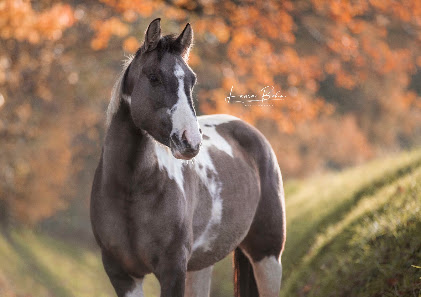 Laura Bohn Photography – Bild 2