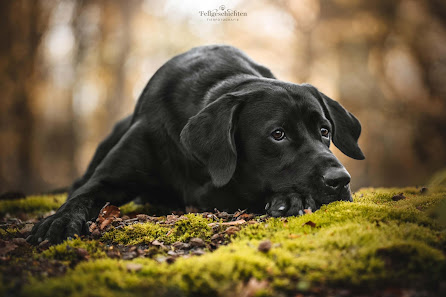 Fellgeschichten Tierfotografie – Bild 5