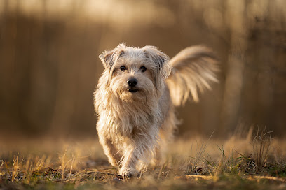 Beckhausen Fotografie