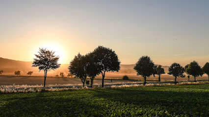 Meyer Photographics