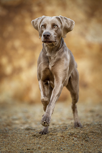 Sarahs Fotowerkstatt