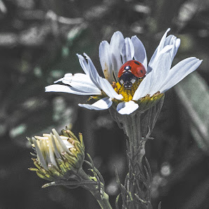 Wiebke Weisbach Fotografie – Bild 4