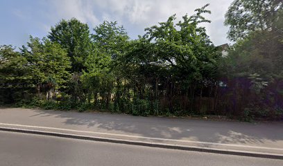 My Streetfoto Corner